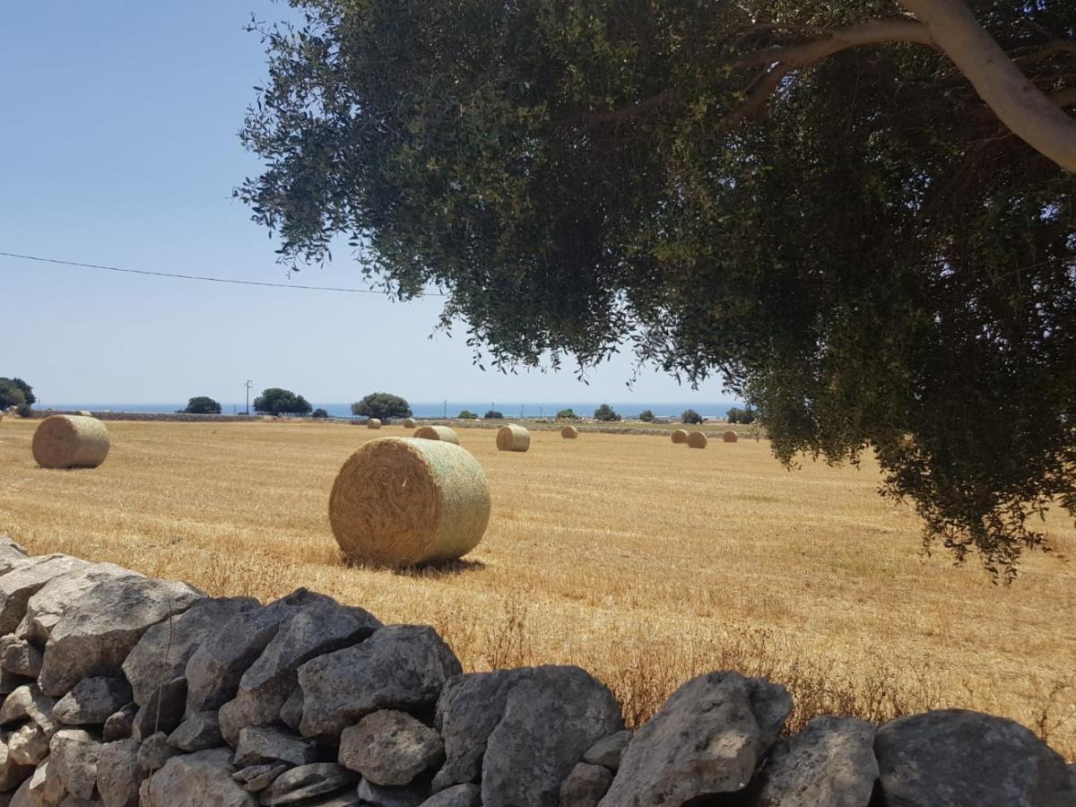 Homidoo Country Apartment Santa Croce Camerina Luaran gambar
